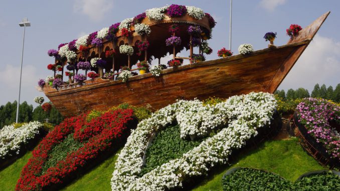 Eine bepflanzte Dhau im Miracle Garden