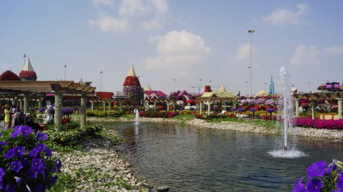 Farbenfroh: der Dubai Miracle Garden