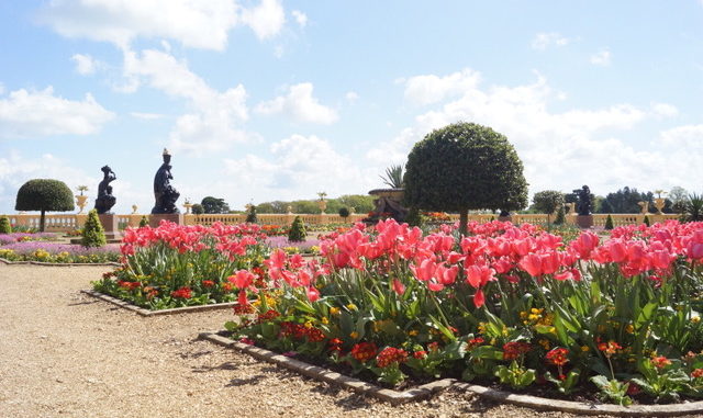 Farbenfrohe Vielfalt im Garten