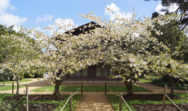 Das Swiss Cottage liegt etwas versteckt im Grünen