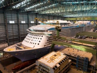 Die Spectrum of the Seas im Baudock der Meyer Werft. Foto: Meyer Werft/Michael Wessels