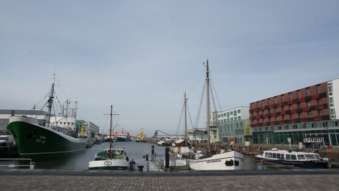 Schaufenster Fischereihafen