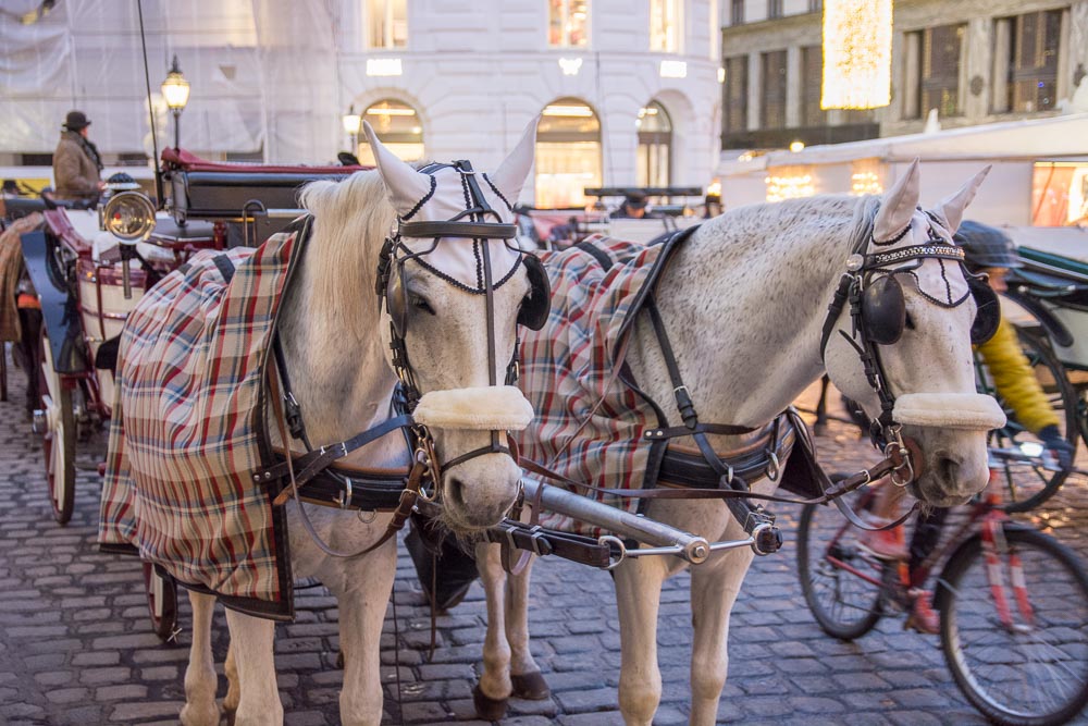 Fiacker vor der Hofburg