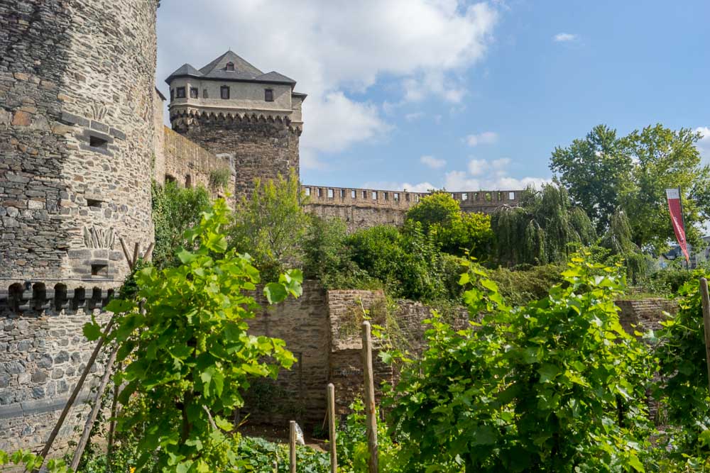 Bepflanzte Flächen an der Burgruine in Andernach