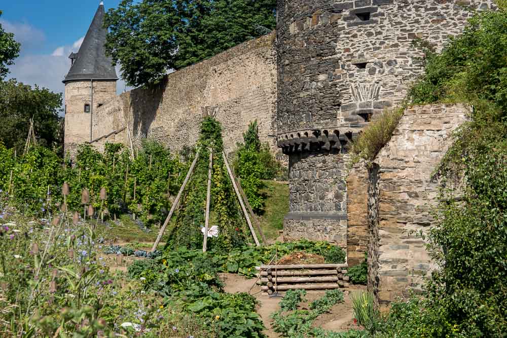 Rund um die Burgruine finden sich die größten Flächen der Essbaren Stadt