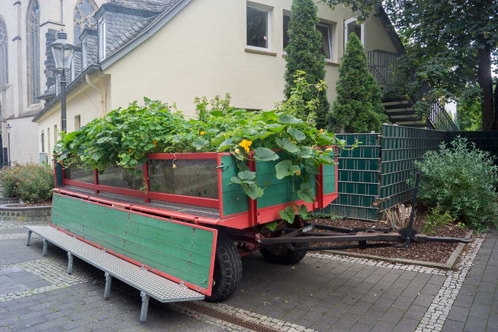 In der Fußgängerzone finden sich kreative Lösungen beim Pflanzenanbau