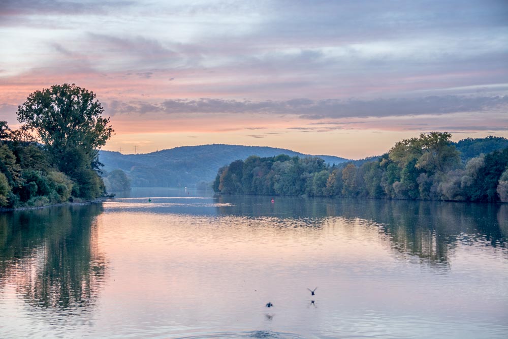 Flusskino pur: Sonnenuntergang über dem Main